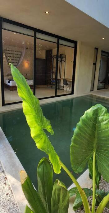 Apartment With Private Pool Tulum Chemuyil Extérieur photo